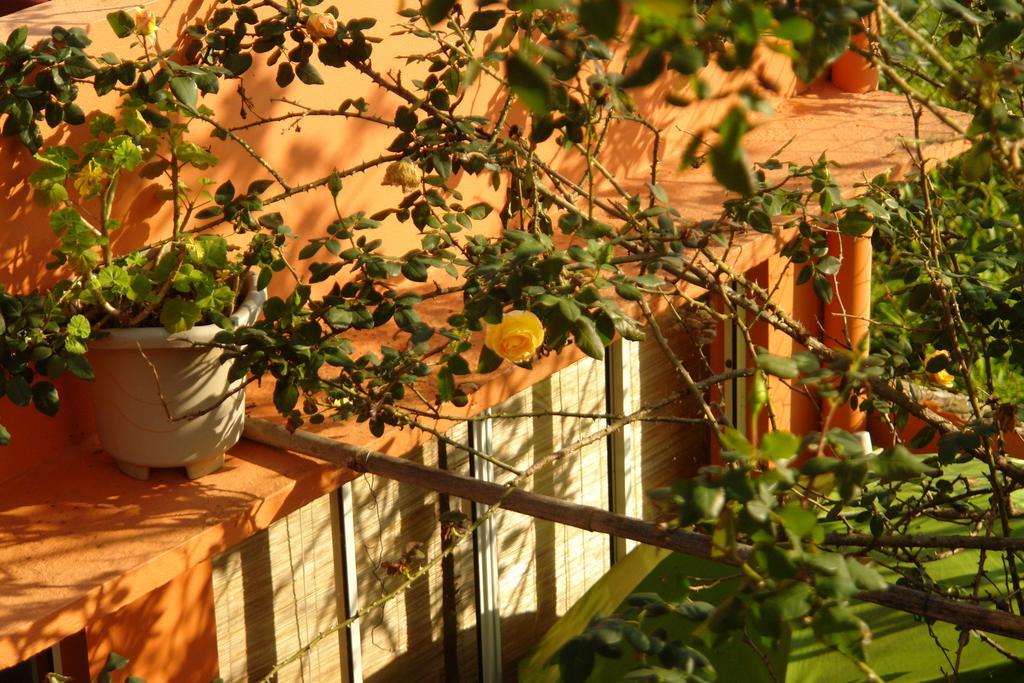 Recanto Dos Bambus Pousada Hotell Florianópolis Eksteriør bilde